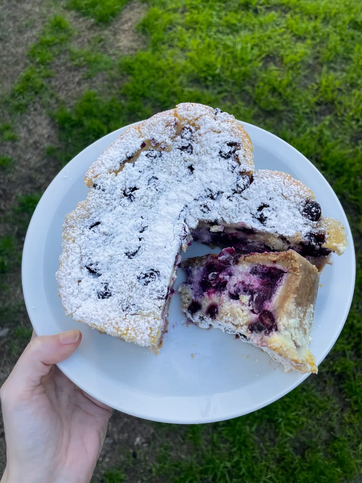 Cheesecakes · Limón y Arándanos · Molde corazón